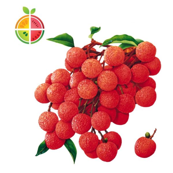 FruitSabzi –Lychee
