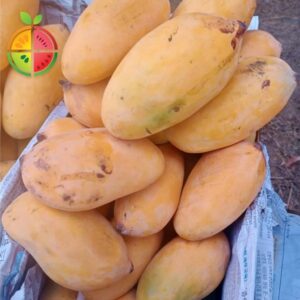 FruitSabzi – Sindhri Mango Peti
